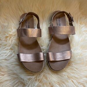 Rose Hold Leather Chelsea Crew Colby Platform Sandals 10 by Anthropology